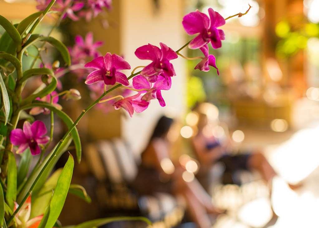 Maui Coast Hotel Кихеи Удобства снимка