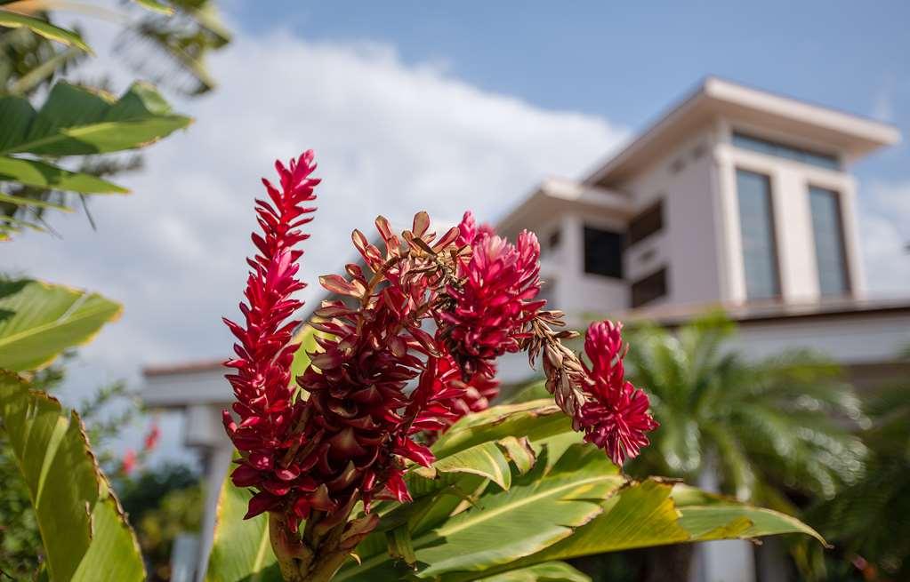 Maui Coast Hotel Кихеи Удобства снимка